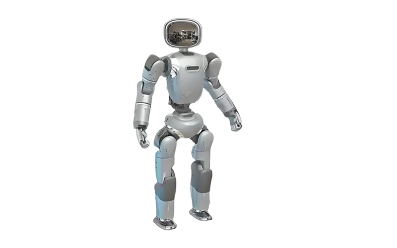 人形機器人潤滑